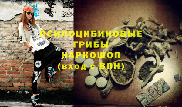 прущий лед Инта