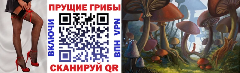 Псилоцибиновые грибы MAGIC MUSHROOMS Купить Пугачёв